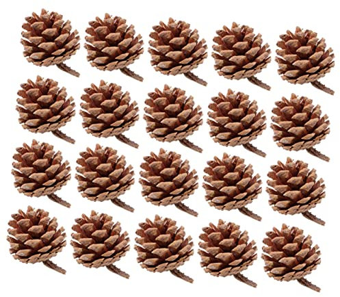RORPOIR 20 Stücke Natürliche Tannenzapfen Für Dekoration Weihnachten Set Hängende Tannenzapfen