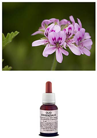 Olio essenziale 100% Puro GERANIO BOURBON Naturale Uso Interno/Esterno (20 ml)
