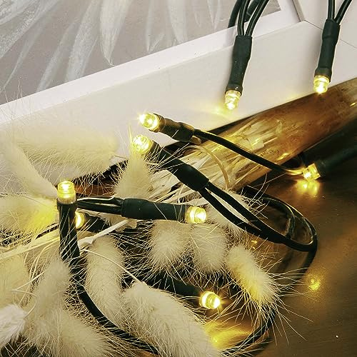 hellum LED Lichterkette innen, Mini Lichterkette 20 LEDs warmweiß, 2,85 m beleuchtet, grünes Kabel, mit Stecker, für Weihnachtsbaum, Tischdeko, Regal, <59 lm, 579321