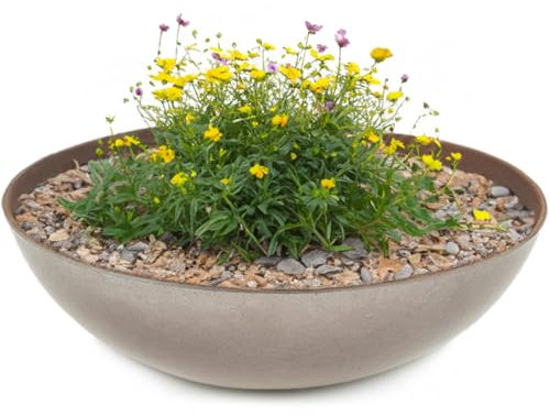 matches21 - Ciotola decorativa per esterni, effetto ruggine, colore: grigio scuro come vaso da fiori, ciotola alta da 45 cm, per giardino, balcone o cimitero