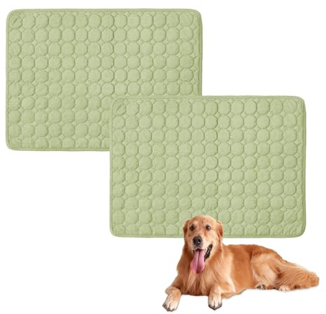 Großes Hundebett für Hunde, waschbar, rutschfest, weich, Hundematratze, luxuriöses Haustier für kleine, mittelgroße und große Hunde, Hellgrün, 90 x 60 cm, 2 Stück