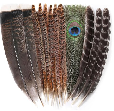 Giyehehi 15 Piezas de Plumas Naturales Grandes de 4 Tipos Diferentes, Plumas para Manualidades, Plumas de Pavo Real, faisán y Pavo para Bodas, Fiestas de otoño y decoración