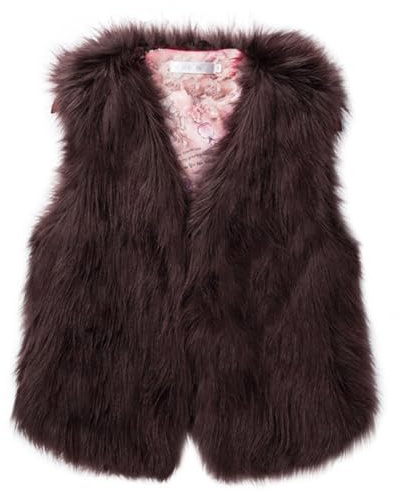 Générique Manteau Fourrure Femme Sans Manches Gilet Fausse Fourrure Courte en Doux élégant Veste Polaire Hiver Manteau Laine Fluffy Couleur Unie Blouson Confortable Gilet Chaud Femme Marron S