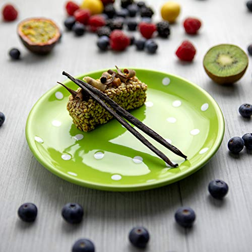 City to Cottage® Lime Green and White Pottery | Polka Dot Spotty | Handmade Hand Painted | Glazed Ceramic 7.9inch/20cm | Side Dessert Plate | Unique Dinnerware