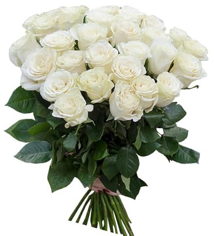Ramo de Rosas Blancas Natural con 25 Flores de Color Puro y Elegante Rosas para Regalar