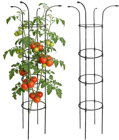 Tutor Plantas de Exterior,Soportes estables y Decorativos para trepadoras,Jaula de Soporte, Enrejado Paraguas | para Rosal Vid Hortaliza como Pepino Dragonera Hortensia Madreselva Pothos