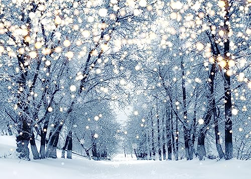Toile de fond de scène d'hiver pour photographie - 3 x 2,4 m - Paillettes blanches - Forêt enneigée - Paysage des merveilles - Décoration de fête de Noël - Portrait - Accessoires de studio photo