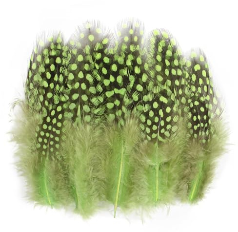 50pcs 3-6 Inches Fruit Green Colorful Spotted Feathers for Craft Jewelry and Clothing Decoration and Dream Catcher