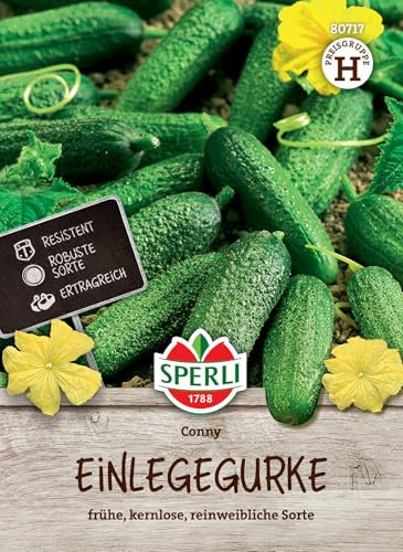 Sperli Einlegegurkensamen Conny, F1 80717 - resistente Sorte - ertragreich - robust - kernlos - reinweibliche Sorte - Samen Gemüse, Saatgut, Gemüse Pflanzen