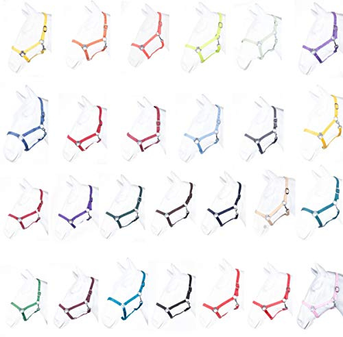RL24 - Nylonhalfter Basicline – Pferdehalfter | Halfter für Pferde aus Nylon