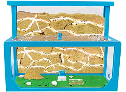 Anthouse.es - Hormiguero Natural de Arena - Kit Hormiguero 3D Forma de L (Sándwich + Caja de Forrajeo) - Granja de Hormigas con Colonia de Hormigas Incluida - 25x20x1 cm y 10x24x10 cm - Azul