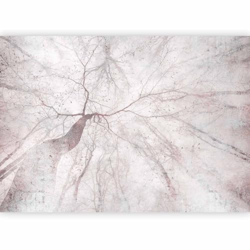 murando - Papier Peint Panoramique Intissé Nature 350x256 cm - Revêtement Mural pour Chambre Salon - Design Unique Moderne Décoration Murale - Rose gris - b-A-10192-a-c