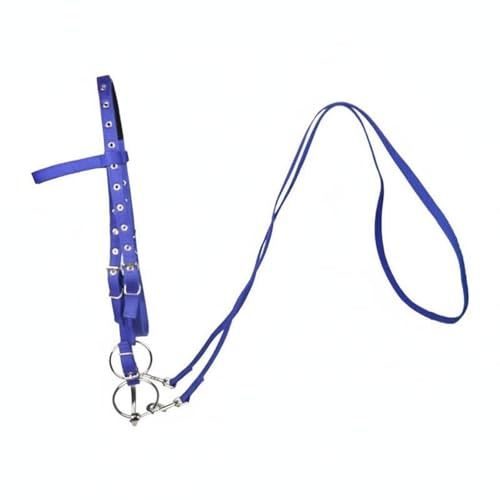 LOVIVER Horse Riding Bridle Bridle Reins Headstall Tack Set With Wear Resistant Construction And Enhanced Cueing Suitable for outdoor riding schooling arena work, Blue, L