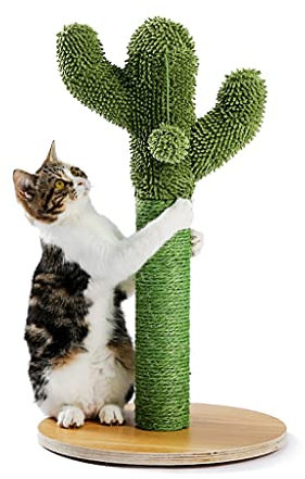 Tiragraffi per Gatti Cactus con Corda in sisal Tiragraffi per Gatti Cactus per Gatti Giovani e Adulti Giocattolo per Arrampicata su Gatti