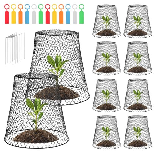 HonGien 10 Set Wire Cloche Plant Protector Cover Chicken Wire Protection Basket 23 * 15 * 23cm Metal Squirrel Proof Garden Plant Cloche for Keeping Rabbit Chicken Out With Floor Spike and Label Black