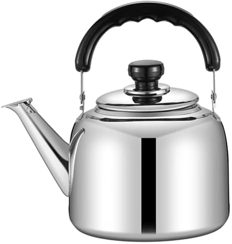 Bouilloires de cuisinière domestiques,bouilloires à thé en acier inoxydable 316,théières mates à long bec avec couvercle de bec,bouilloire à sifflet de grande capacité pour cuisinière à gaz/induction
