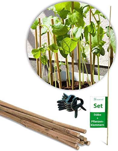 Novatool 10x Tonkinstäbe 90 cm und 20x Pflanzenbefestigungen I Rankhilfe Pflanzenhalter Bambusstab für Pflanzen I Bambusstäbe Pflanzstab Tomatenrankhilfe I Pflanzensicherung Zimmerpflanzen