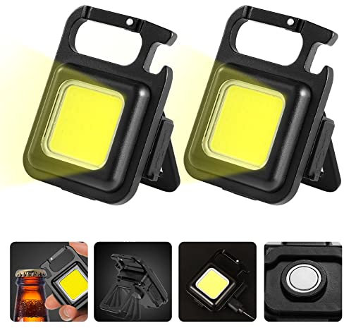 Lyneun 2 Pcs Mini Lampe de Poche Rechargeable, 800 Lumens 4 Modes Portable Petites Porte-clés magnétique d'inspection LED Lampe de Travail pour Réparation Camping [Classe énergétique A+++]