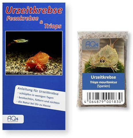 AQ4Aquaristik Triops mauritanicus (Spanien) - Triops Eier - mit Anleitung - RARITÄT aus wissenschaftlicher Aufsammlung