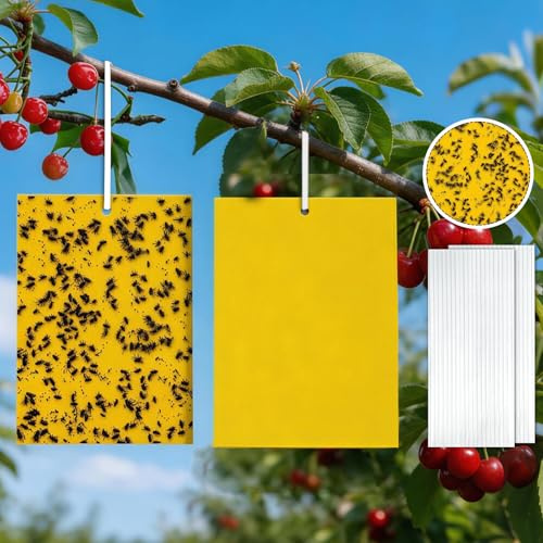 40 PC Gelbtafeln Trauermücken, Trauermü-cken Bekämpfen, 20cmX15cm Gelbtafeln Gegen Trauer-mücken, Gelbsticker Trauermüc-Ken, für Raupenleim,Gegen Trauer-mücken, Blattläuse, Nematoden, Weiße Fliegen