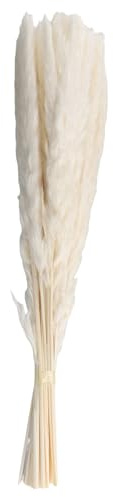 Pqahffowr - Serías de hierba de Pampa (45 cm, esponjosa y oscilante, bricolaje, diseño boho de flores para boda, arreglos de flores