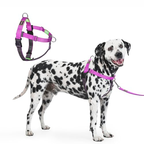 APDEXY Freedom No Pull Dog Harness, Designed for Hound Dog Train, Easy Walk with 2 Stainless D-Rings, Sewn-in Instructions Tags for Easy Use, for Large Dogs Weight 60-80 lbs (Purple, L)