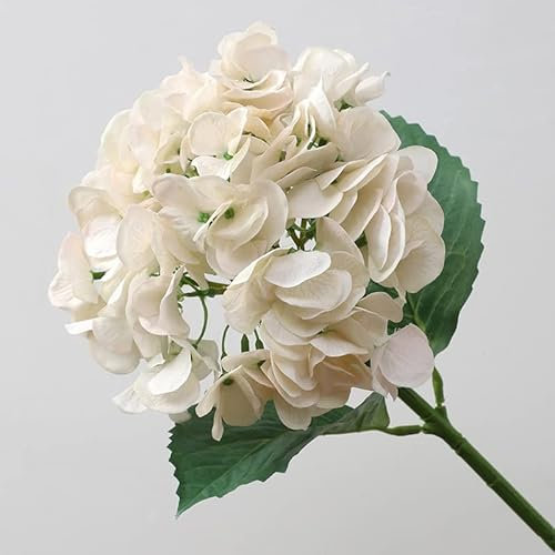 Nvzi 6 hortensias artificiales de seda, hortensias realistas, ramo de hortensias para boda, fiesta, oficina, decoración del hogar, 6 unidades (beige)