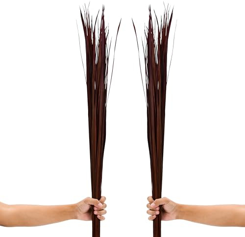 LEEWADEE Erbe Secche per Vasi da Terra 115 cm Composizione Set 2 | Steli fini e slanciati con arioso effetto ventaglio, materiale naturale essiccato - accorciabili per vasi di ogni misura