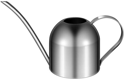 Yardwe Edelstahl Gießkanne 1 Liter, Kleine Giesskanne mit langem Auslauf für Zimmerpflanzen, Präzises Gießen für Bonsai & Sukkulenten, Silber