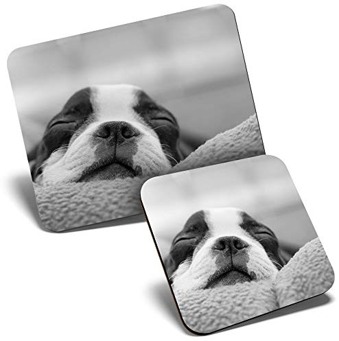Mouse Mat & Coaster Set - Boston Terrier Dog Seeping 23.5 x 19.6 cm & 9 x 9 cm for Computer & Laptop, Office, Gift, Non-slip Base #16616