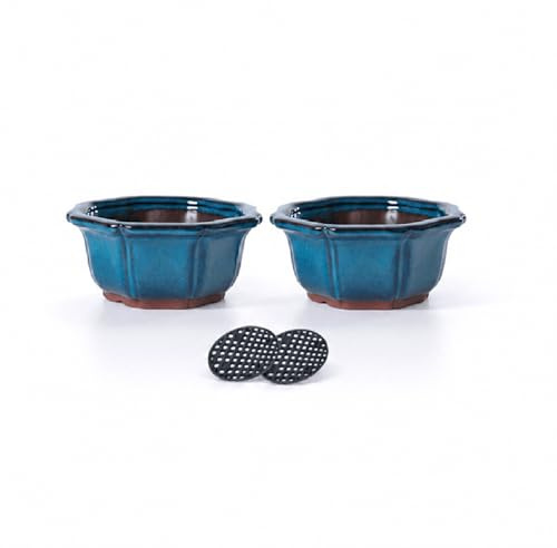 Jinfa Lot de 2 Pots à Bonsaï en Céramique Émaillée avec Trous de Drainage, Grilles Filtrantes & Plateaux Bambou | Design Japonais Traditionnel | Pots Décoratifs pour Plantes Intérieures
