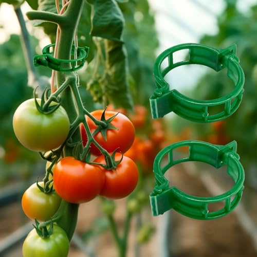 DARENYI 100 Stück Pflanzenclips, Pflanzenclips Tomaten, Pflanzen Clips, Pflanzenclips für Kletterpflanzen, Pflanzenklammern Tomatenclips, Klein Pflanzenclips für Tomaten, Gurken, Trauben, Chilischoten