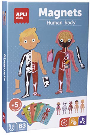 APLI Kids 18531 - Juego Magnético Educativo sobre el Cuerpo Humano para niños a Partir de 5 años