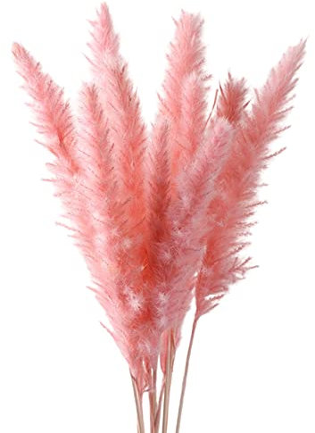 rockible 15 Stück Natürliche Pampasgras Trockenblumen für Zuhause und Partys - Boho Dekoration in Grau und Rosa