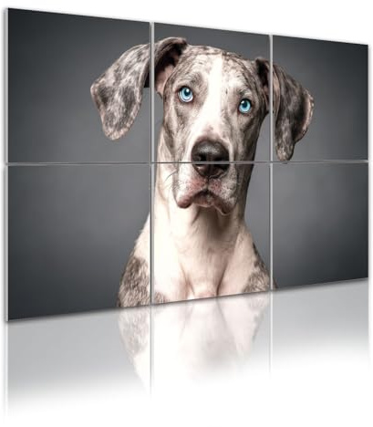 6 Pack Art Acoustic Panels Self Adhesive great dane animals portrait pictures royalty free photos Decorative Soundproof Wall Panels Sound Absorbing Panel 48x72 for Office Home Studio