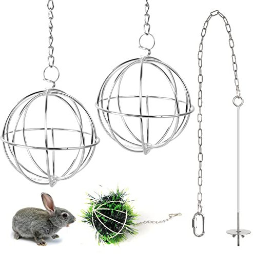 2 Stücke Edelstahl Feeder Ball Heuball Kaninchen mit 1 Obst- und Gemüsestäbchenhalter Gabel Fütterung Spielzeugs Futterbälle für Hase Meerschweinchen Kaninchen Chinchillas Hamster zum Aufhängen