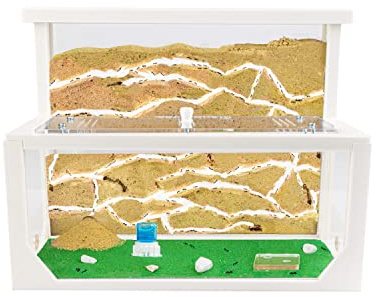 Anthouse.es - Hormiguero Natural de Arena - Kit en Impresión 3D a Forma de L (Sándwich + Caja de Forrajeo) - Granja de Hormigas con Colonia de Hormigas Incluida - 25x20x1 cm y 10x24x10 cm - Blanco