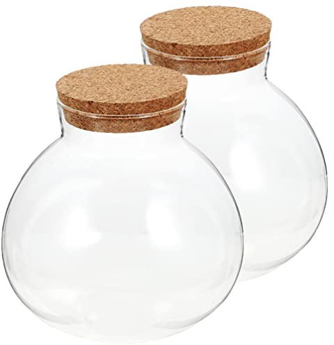 GANAZONO Spherical Glass Terrarium Bottle 5.12In Clear Ecological Jar for Diy Miniature Garden with Moss Plants Desktop Micro Landscape Set of 2