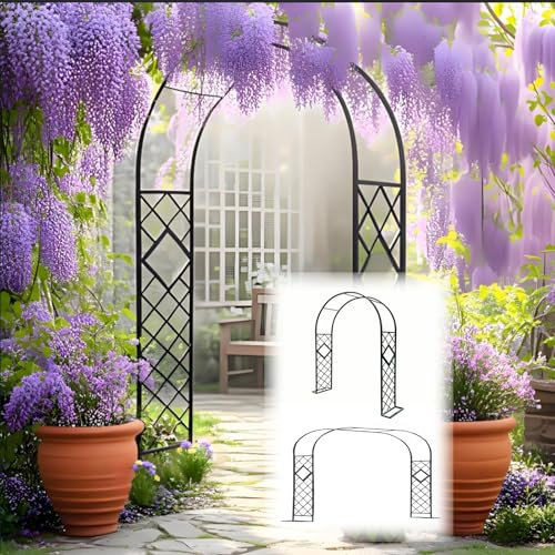 Arche Jardin En Fer Antirouille, Structure Métallique Résistante Aux Intempéries Pour Rosiers Grimpants Clématites, Arche De Jardin Extérieur Avec Treillis, Arche Mariage(Black,340cmWx230cmH)