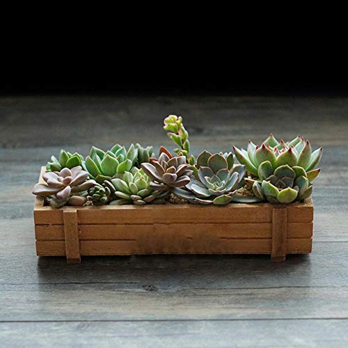 CTOBB Nuevo Rosa Negro Maceta de jardín Decorativa Vintage Suculenta Cajas de Madera Cajas Mesa Rectángulo Maceta Dispositivo de jardinería, Marrón, S
