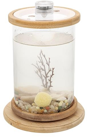 1 Set Desktop Micro View Aquarium Betta Aquarium Fish Tank Desktop Accessories Artificial Succulent in Glass Pot Plants in Clear Glass Pot Clear Container Mini Bamboo Office Vase