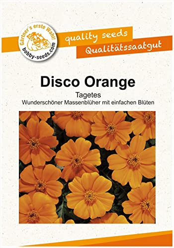 Blumensamen DISCO Orange Tagetes Portion