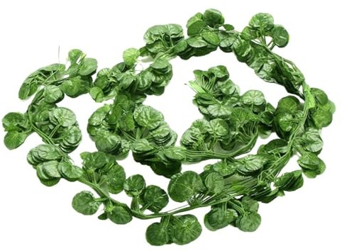 KUYCCSTRESI Fake Hanging Plants Indoor Faux Hanging Plant Artificial Foliage Shelf Decor Trailing Plants Home Decor Greenery Lifelike Fake Plant Wall Hanging Evergreen Faux Plants(12pcs Begonia)