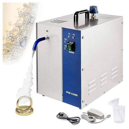 Pulitore a vapore professionale per gioielli da 2 l, 200 W, 2 l, portatile, in acciaio inox, elettrico, per negozi di gioielli (4L, 110 V)