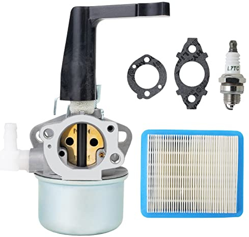 Annolai Carburateur 696065 697422 pour moteur Briggs & Stratton 110402 110412 215369 5HP 5,5HP 6HP motoculteur Troy Moteur Intek avec cartouche de filtre à air plat 491588S