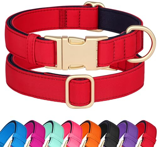 Didog Hundehalsband aus Nylon, weich gepolstert, strapazierfähiges Hundehalsband mit Schnellverschluss-Metallschnalle, leichtes und atmungsaktives Hunde Halsband für große, mittelgroße,Rot,M