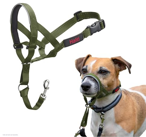 HALTI Headcollar - För att hindra din hund från att dra i kopplet. Justerbar, reflekterande och lätt, med vadderat näsband. Anti-draghalsband för hundträning för små hundar (Storlek 1, Skog Grön)