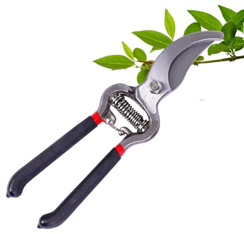 Tijeras para el Corte de Flores,Tijeras Manuales Para El Recorte De Flores | Cizallas de Jardinería | Para Interior, Exterior, Jardín, Parque, Invernadero, Patio Trasero, Patio, Senderos