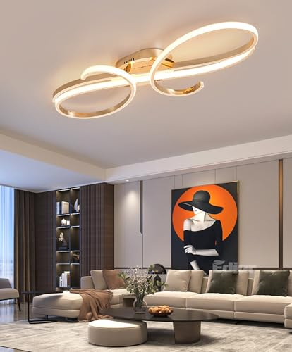 Aleaty Dimmbare LED Deckenleuchte Moderne Wohnzimmerlampe Schlafzimmer Deckenleuchte mit Fernbedienung Innen Design Wohnzimmerlampe Schlafzimmer Esszimmer Decke lampe (Gold, L60cm)