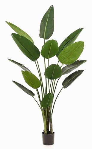 artplants.de Deko Pflanze Strelitzie Pavlova, grün, 190cm - Kunst Paradiesvogelblume